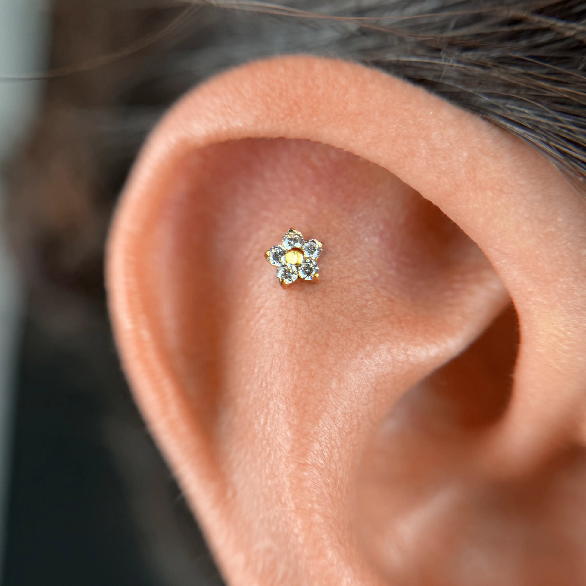 Labret Flor 5 Petalas Zirconia Gold RI
