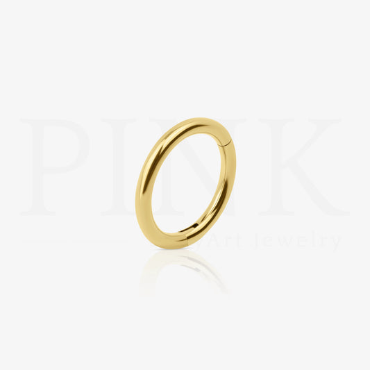 Argola Segmento Lisa Gold