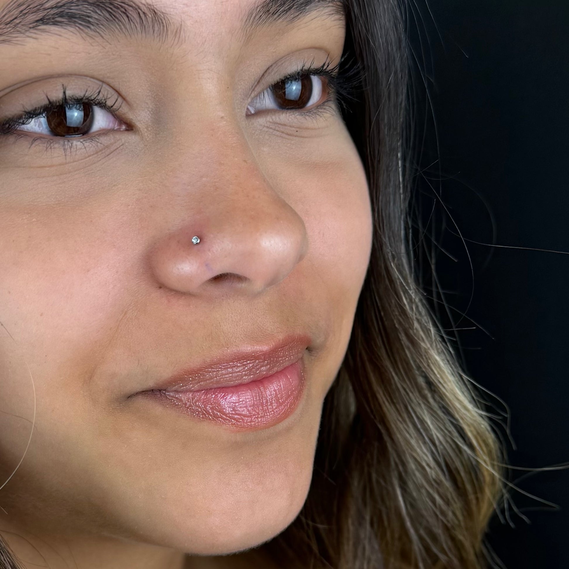 Labret Zirconia Cravejada PP