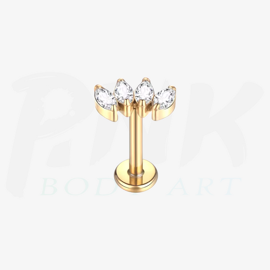 Labret Cluster 4 Folhas Zirconias Gold RI