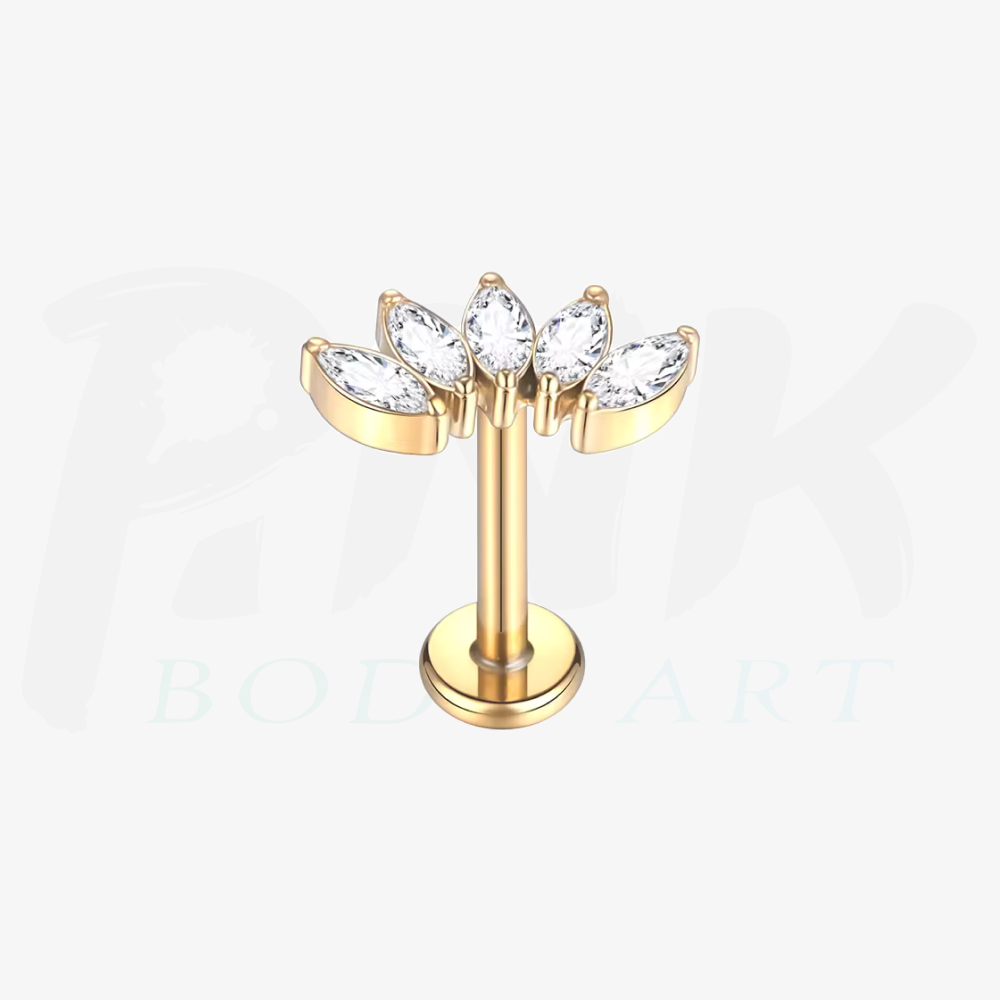 Labret Cluster 5 Folhas Zirconia Gold RI