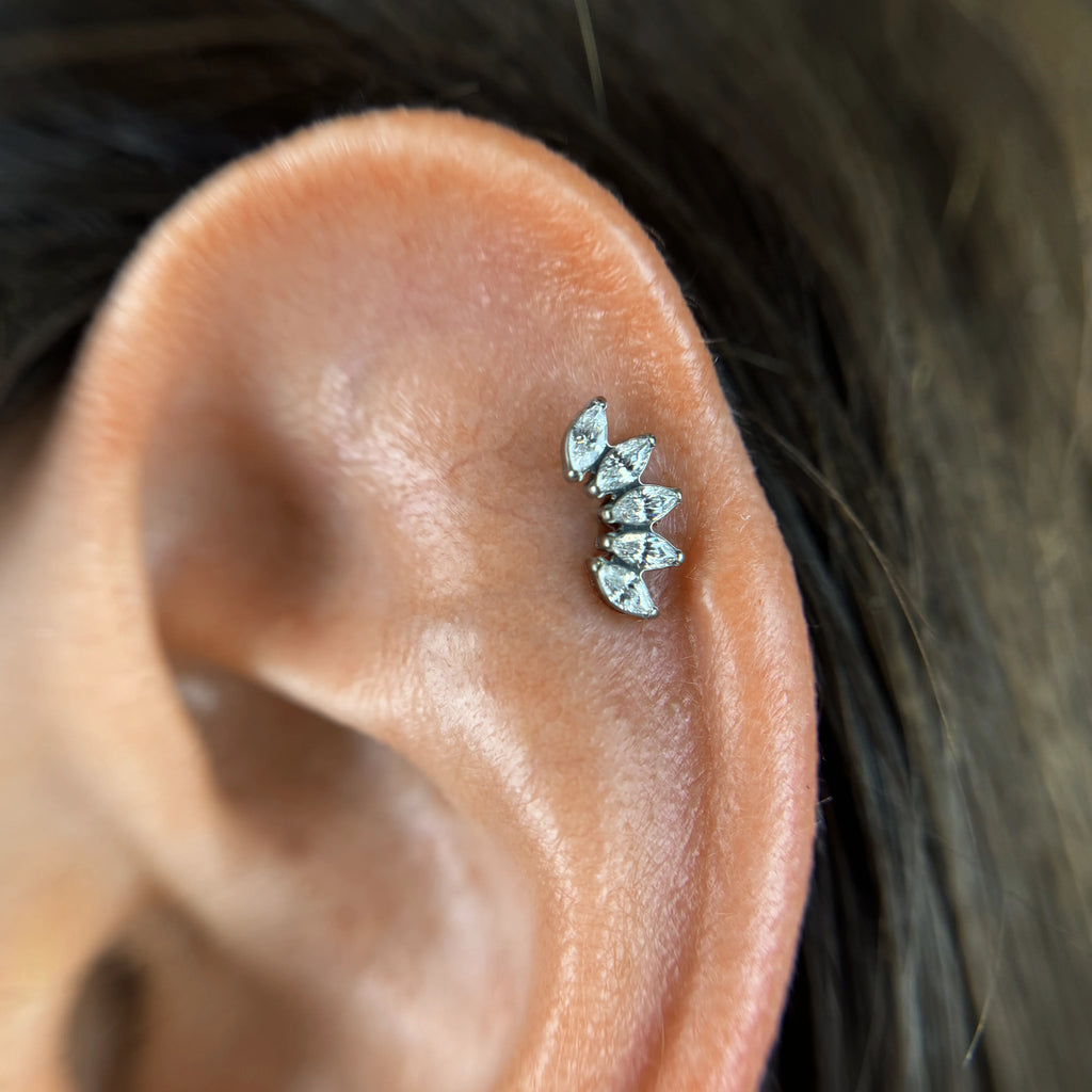 Labret Cluster 5 Folhas Zirconias RI